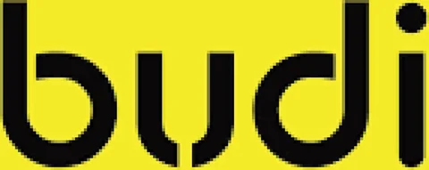 Budi logo